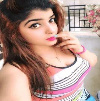 Rohini Air Hostess Escorts